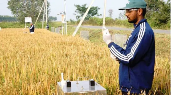 Amazon Signs Deal with Bayer-Backed The Good Rice Alliance, Commits to 685,000+ Carbon Credits