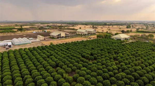 TAFE Inaugurates JFarm in Rajasthan to Support Farmer Training and Farm Practices