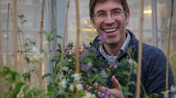 Professor Ingo Hein Announced As Deputy Director Of The National Potato Innovation Centre