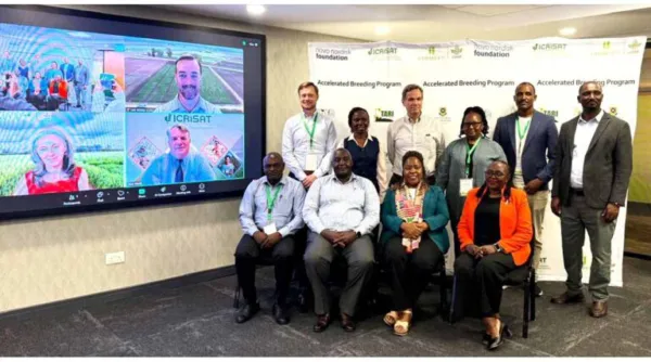 ICRISAT and CIMMYT Launch New Initiative to Fast-Track Climate-Resilient Crops for Dryland Farmers in Africa and India