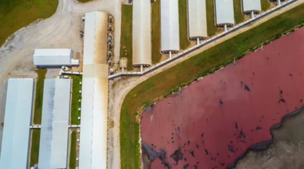 After Years of Delay, Oregon Permit for Hundreds of Factory Farms Finalized Without Adequate Measures to Protect Water and Communities from Pollution