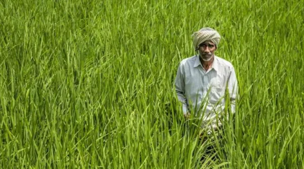 India Needs Urgent Farm Reforms Amid Middle East Tensions