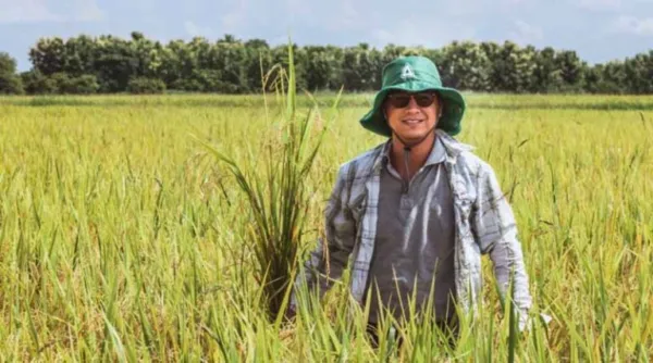 How BAZAK® is Helping Rice Growers 'Stop the Hop'