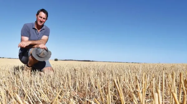 Engagement At The Heart Of Sandy Soils Progress