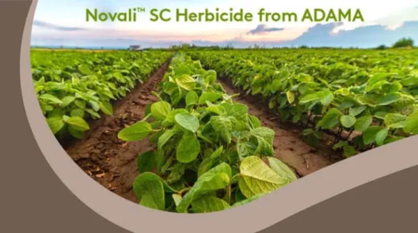 USA: ADAMA Launches High-Load Pyroxasulfone Herbicide 'Novali SC' for Row Crops