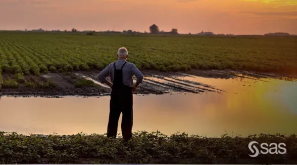 SAS, NC State and ECU Deploying Sensors And Iot Analytics To Help Farmers Protect Crops, Livestock And Equipment