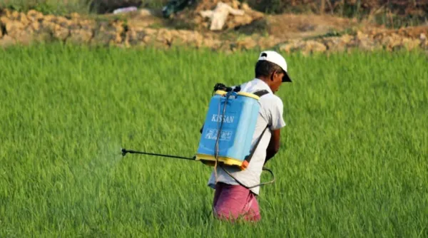 कीटनाशक प्रबंधन विधेयक 2025: क्या नकली कीटनाशक बिक्री रुकेगी?