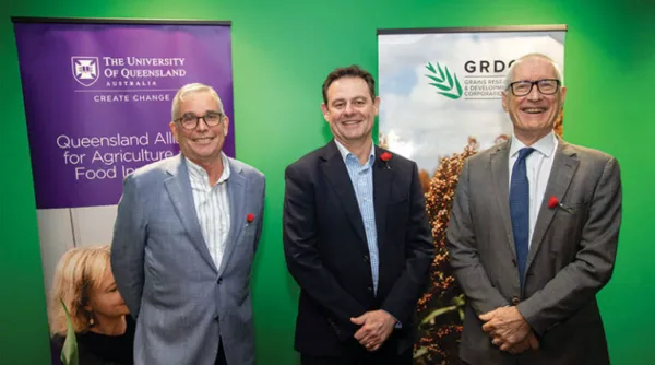 Sorghum Research Alliance Seeks Step Changes In Crop Performance