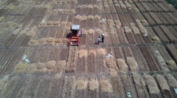 FAO Food Price Index Rises In February For First Time In Five Months