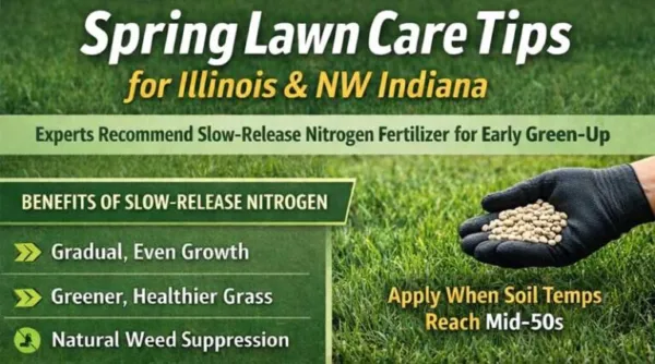 Illinois and Northwest Indiana Lawns Begin Spring Transition as Experts Recommend Slow-Release Nitrogen Fertilizer