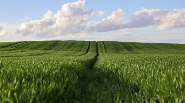 Centre-State Synergy Ushers in a New Era of Agriculture; Reform Agenda to Resonate from Jaipur