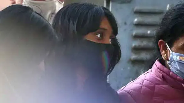 Delhi court grants bail to Disha Ravi in Toolkit case