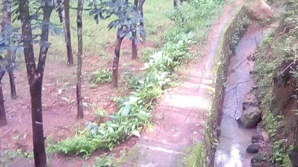 'ഞങ്ങള്ക്കും നടക്കണം ഇതിലെ...'