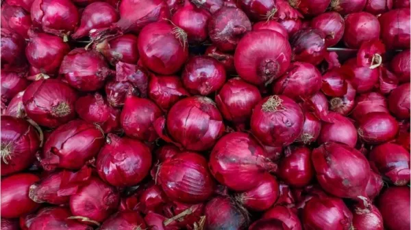 வெங்காய ஏற்றுமதிக்கான தடை நீடிப்பு: விவசாயிகள் வேதனை!