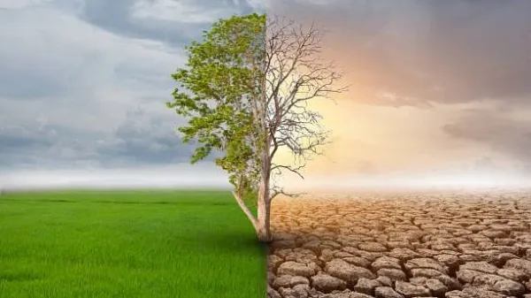 Current multilateral system failing to mitigate climate change: India