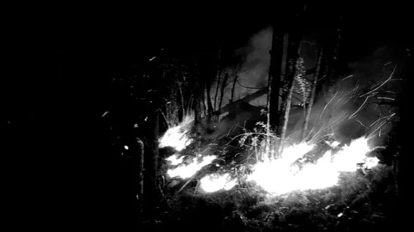 Arunachal: Indian Army Contains Wildfire along Sino-India Border