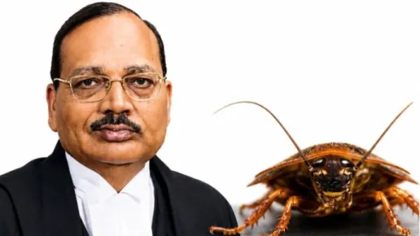 అ'నిర్ధారిత` భాష