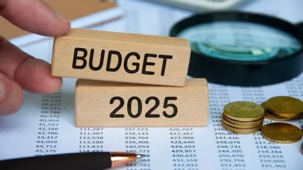 Union Budget 2025 | Boost needed to enhance India's global healthcare footprint