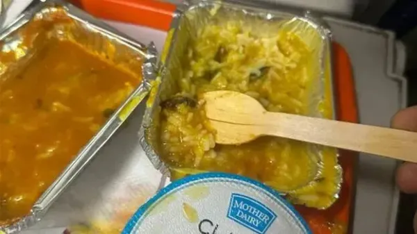 Cockroach in food served on Vande Bharat; IRCTC slaps fine of Rs 10 lakh