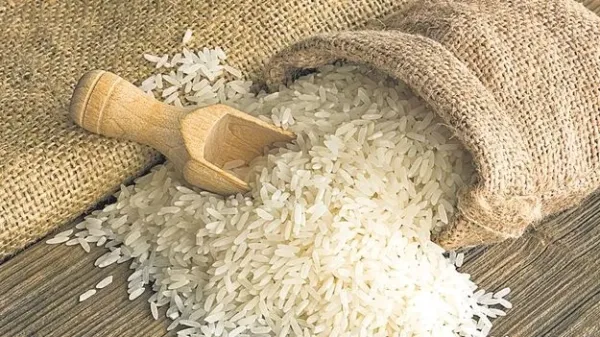 సూర్యాపేట జిల్లాలో సన్నబియ్యం కుంభకోణం