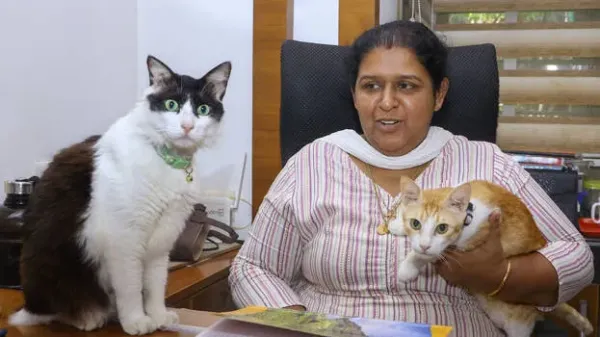 Feline monk who motivates and meditates! Tom and Jerry are real cats