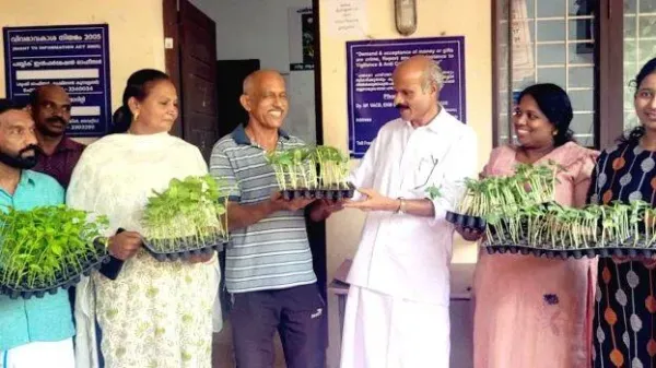 പച്ചക്കറിത്തൈ വിതരണോദ്ഘാടനം