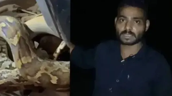 സ്കൂട്ടറിനുള്ളില് 'അതിഥി'യായി പെരുമ്പാമ്പ്; ചുരം റോഡില് യുവാവ് കുടുങ്ങിയത് മൂന്നര മണിക്കൂര്
