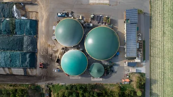 Biogas could be LPG hedge in India's dairy belt