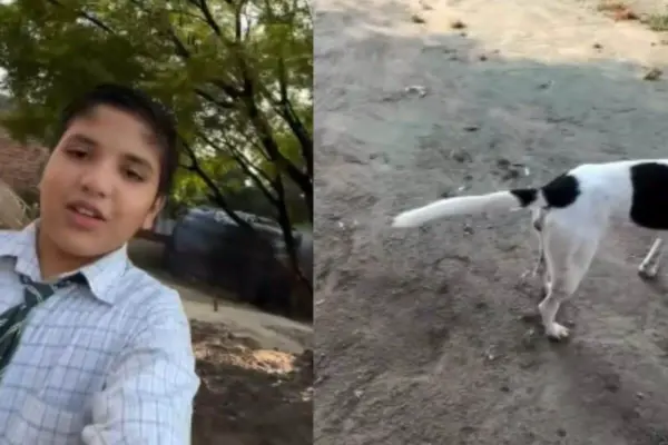 किसने कहा कुत्ते की पूंछ सीधी नहीं हो सकती? लड़के ने अनोखा कारनामा कर, गलत साबित कर दी कहावत!