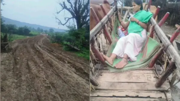 गर्भवती महिला को एम्बुलेंस तक पहुंचने के लिए लेना पड़ा बैलगाड़ी का सहारा, तेलंगाना में बदहाल सड़कें बनी मुसीबत