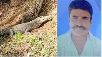 मगरमच्छ ने किसान को पानी में खींच लिया, दी दर्दनाक मौत, शौच करने के लिए गए थे लेकिन वापस जिंदा नहीं लौटे