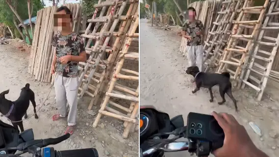 लड़की ने Porter वाले को पकड़ाया कुत्ता, बोली- "भैया इसे बहन के घर छोड़ आओ". डिलीवरी बॉय ने जो जवाब दिया, सुनकर भीड़ जमा हो गई