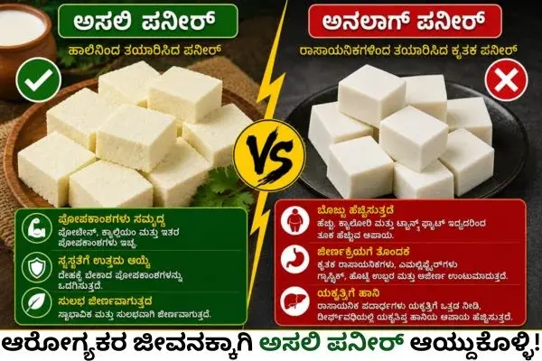 ಅಸಲಿ ಪನೀರ್​ ಯಾವುದು? ಅನಲಾಗ್​ ಪನೀರ್​ ಯಾವುದು? ಆರೋಗ್ಯಕ್ಕೆ ಎಷ್ಟು ಅಪಾಯ ಗೊತ್ತೇ? ತಿನ್ನುವ ಮುನ್ನ ತಿಳಿಯಬೇಕಾದ 5 ವಿಚಾರಗಳು ಇಲ್ಲಿವೆ! Real Paneer and Analog Paneer