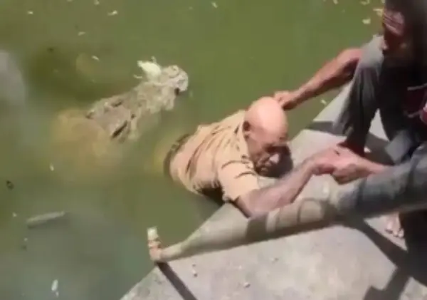 Video: जो रोज देता था खाना उसी शख्स को पानी में खींच रहा था मगरमच्छ, दिल दहलाने वाला वीडियो वायरल