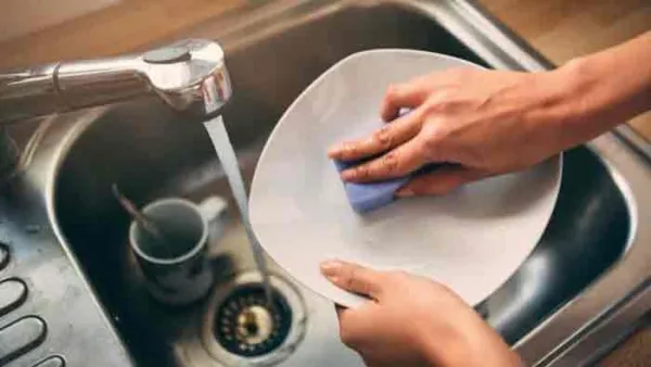 বাসন মাজার সাবান: সাবধান! এই বিপজ্জনক উপাদানগুলি সম্পর্কে জেনে নিন