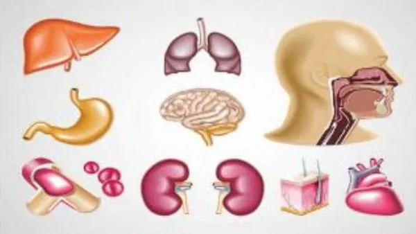 The challenges ahead in organ donation in India