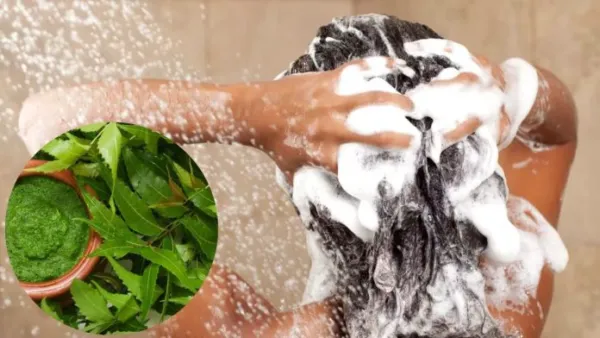 Home Remedies For Dandruff : केसांची काळजी घ्या नैसर्गिक पद्धतीने! घरीच बनवा कडुलिंबाचा हर्बल शॅम्पू