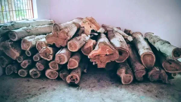 ପୁରୁଣା କାଇଜଙ୍ଗ ଜଙ୍ଗଲ ବନ କର୍ମଚାରୀଙ୍କ ପାଇଁ ଉଜୁଡି ଯିଵ, ତଦନ୍ତ ଵାଟଵଣା