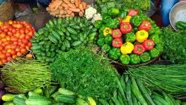 ଖରାଦିନେ ଖାଆନ୍ତୁ ଏହି ସବୁ ପନିପରିବା, ପେଟକୁ ଥଣ୍ଡା କରିବା ସହ ଶରୀରକୁ ରଖିବ ହାଇଡ୍ରେଟ୍