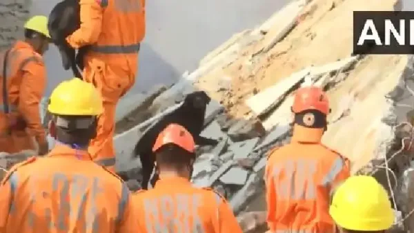 Two dead after 5-storey building collapses in Madhya Pradesh's Kotma