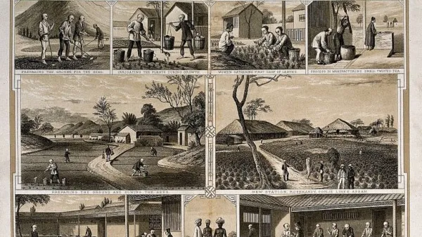 Plunder of Assam's Resources: From British Era to Present
