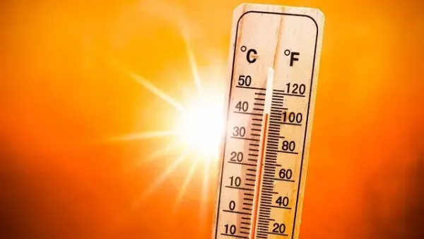 Odisha hit with heat wave: Nine places record temperature above 40°c