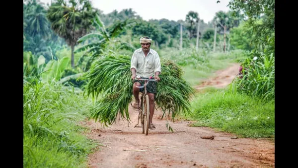 Farmer registry drive accelerated across Uttar Pradesh to streamline scheme access