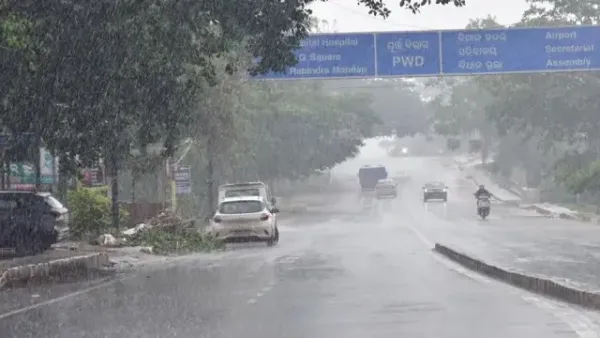Respite from scorching heatwaves! IMD issues yellow warning for light to moderate rain, check details