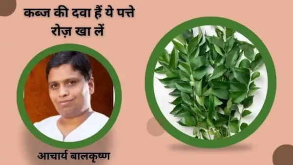 पानी पीकर थक गए लेकिन कब्ज नहीं जा रहा? दिन में 2 बार चबाएं ये पत्ते, "आचार्य बालकृष्ण ने बताया पेट साफ करने का ये इलाज'