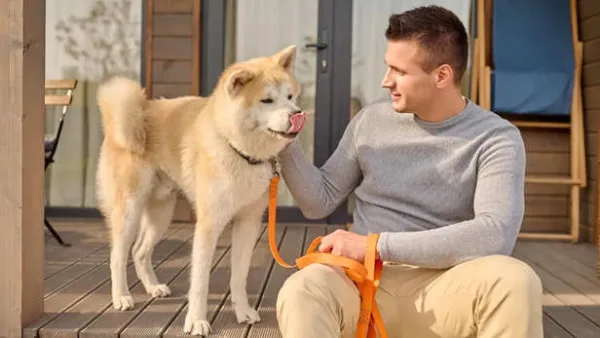 What Your Dog Does Before You Arrive Home Might Surprise You