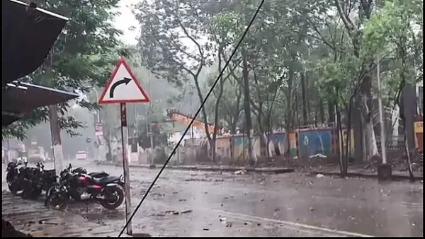 Nor'wester Fury in Koraput: Kalabaisakhi brings heavy rain, uproots trees in Kotpad