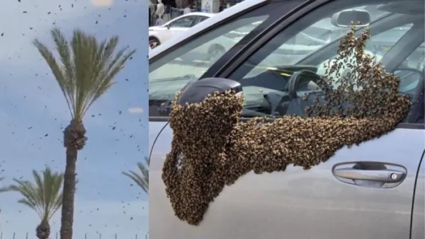 Signs of destruction according to prophecies in the Bible and the Quran !