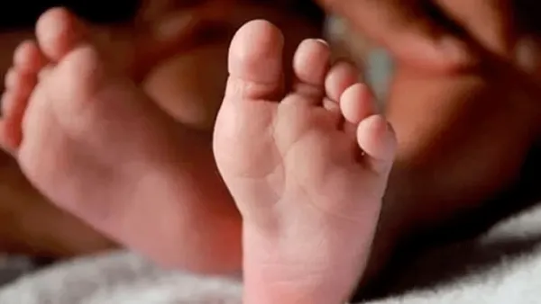 Madhya Pradesh: కారులోకి దూకిన జంతువు.. నాలుగేళ్ళ చిన్నారి మృతి