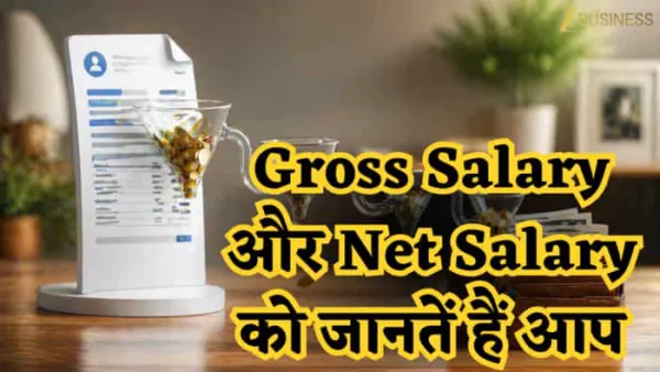 Gross Salary vs Net Salary: ऑफर लेटर देखकर खुश होने से पहले ये फर्क जरूर जान लें, वरना होगा झटका!